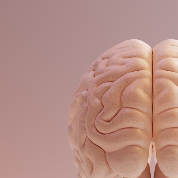 Mental Health Services